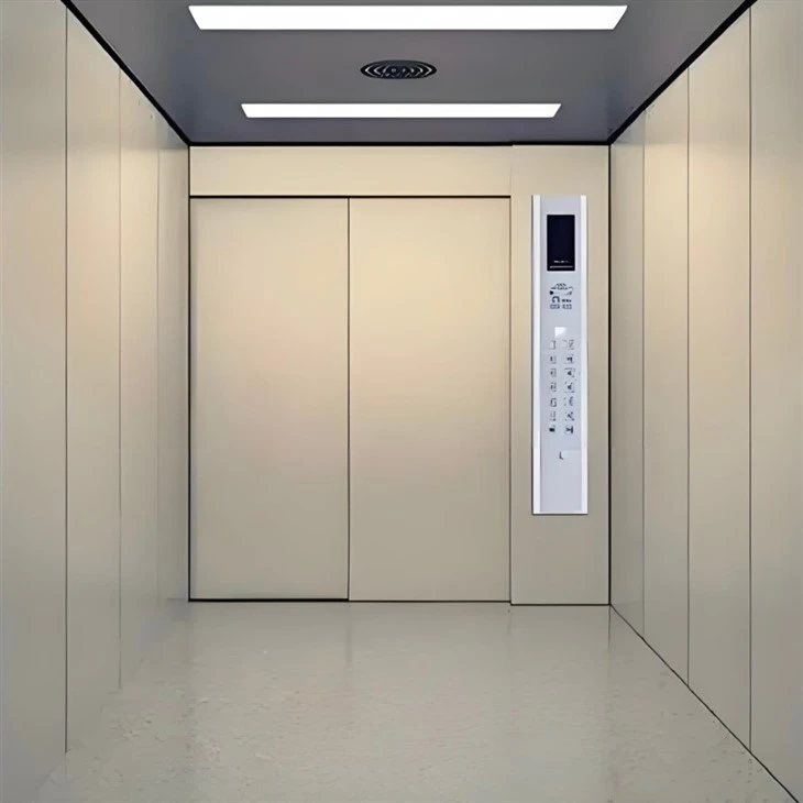 Shopping Mall Passenger Lift best
